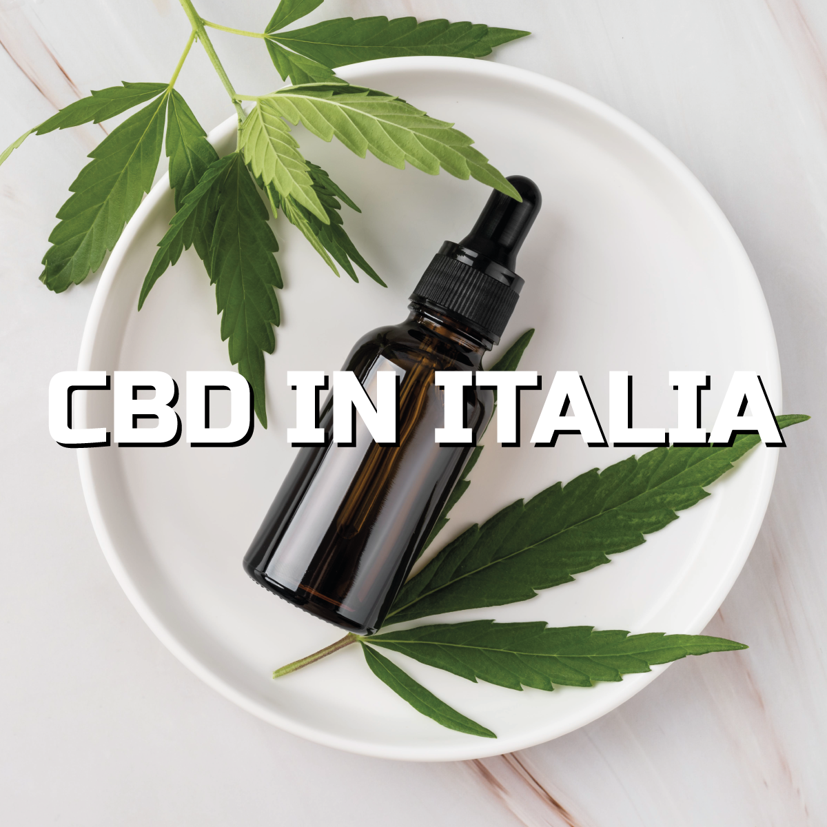 Evoluzione del mercato del CBD in Italia: un'analisi della crescita delle infiorescenze di cannabis light dopo la legge 242/16