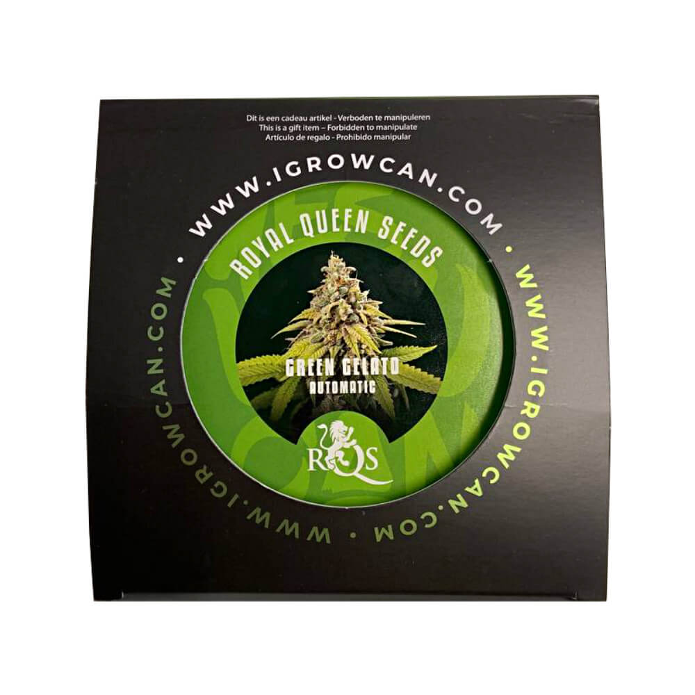 Royal Queen Seeds Growing Kit - Gelato